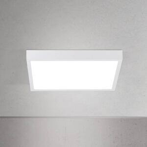 ORION LED stropní svítidlo Disc, bílé, délka 24 cm, kov, stmívatelný, Bílá / opál, Obývací pokoj / jídelna, Hliník, Moderní