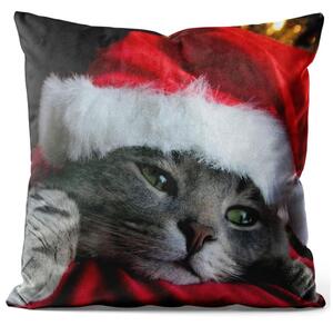 Dekorační velurový polštář Vánoční kočka v Santově čepici - sváteční zvíře na tmavém pozadí