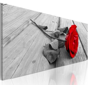 Obraz XXL Karamelová růže III