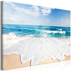 Obraz XXL Pláž na ostrově Captiva