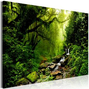 Obraz XXL Kouzelný les