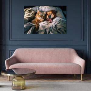 Obraz AI pes zlatý retrívr a kočka tabby - domácí zvířata odpočívající v pohodlném pelíšku - vodorovně