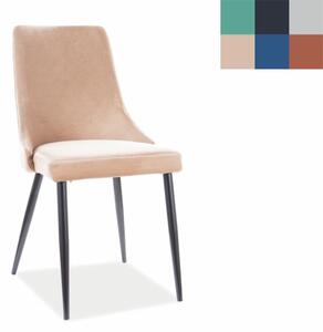 SIGNAL Jídelní židle - PIANO B Velvet, různé barvy na výběr Čalounění: světle šedá (Bluvel 14)