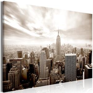 Obraz XXL Jednobarevné panorama New Yorku