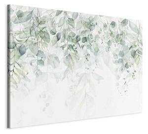 Obraz XXL Jemný dotek přírody - rostliny v pastelových tónech na bílém pozadí