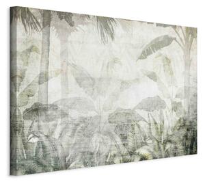 Obraz XXL Vzpomínka na přírodu - jemná kompozice s vegetací džungle