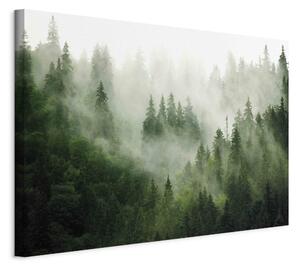 Obraz XXL Horský les - pohled na zelené jehličnaté stromy zahalené v mlze