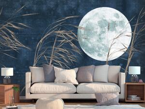 Fototapeta Měsíc v úplňku - vysoká tráva na pozadí tmavě modré noční oblohy