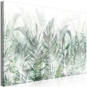 Obraz XXL Divoká louka - bujná vegetace prorůstající na bílém pozadí