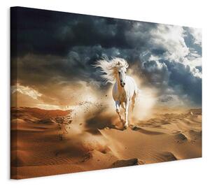Obraz XXL Bílý kůň - divoké zvíře cválající arabskou pouští