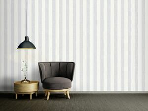 A.S. Création | Vliesová tapeta na zeď Attractive 2 39029-1 | 0,53 x 10,05 m | bílá, šedá