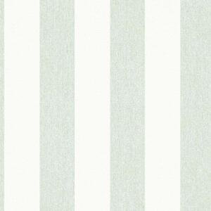 A.S. Création | Vliesová tapeta na zeď Attractive 2 39029-2 | 0,53 x 10,05 m | zelená, bílá