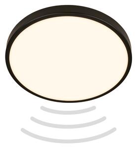 BRILO 3829015 Chet LED stropní svítidlo IP54, 3m dosah čidla, pohybové čidlo, černá - BRILO