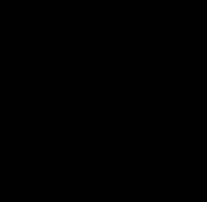SLV BIG WHITE ENOLA_B, nástěnné a stropní svítidlo, dvě žárovky, QPAR51, černé, max. 100 W 151830