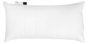 POLŠTÁŘ POD HLAVU, 40/80 cm Centa-Star - Polštáře pod hlavu, Online Only
