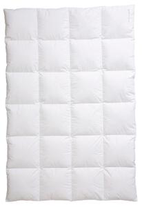ZIMNÍ PŘIKRÝVKA, 135/200 cm, prachové peří, peří Centa-Star - Přikrývky, Online Only