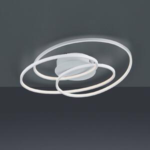 LED stropní světlo Gale, 60 cm, bílá matná