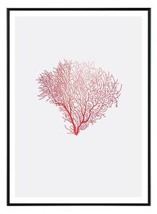 Coral spirit - 30x40 cm Obraz