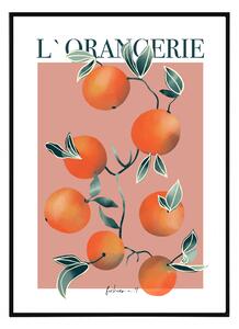 L`orangerie - 30x40 cm Obraz