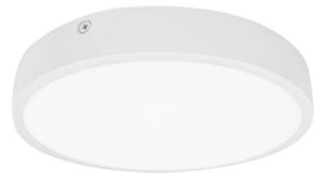 Palnas Stropní/nástěnné LED svítidlo EGON ø 14,5 cm Barva: Bílá, 4000K