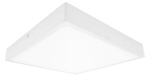 Palnas Stropní/nástěnné LED svítidlo EGON š. 14,5 cm Barva: Chrom, 3000K