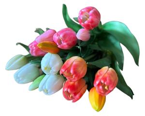 Kytice tulipánů v různých barvách Barva: Bílá