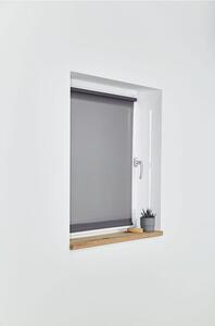 LIVARNO home Roleta na okno, 60/80/100 x 150 cm (60 x 150 cm, šedá) (100345925004)