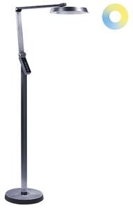 LED stojací lampa CARINA se stmívačem Kov Tmavě šedá