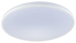 LIVARNO home Nástěnné / Stropní LED svítidlo (matně bílý rám - tenký) (100350407002)