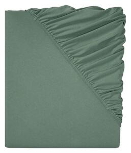 LIVARNO home Žerzejové napínací prostěradlo, 140–160 x 200 cm (tmavě zelená) (100351697003)