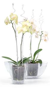 Prosperplast Podpěra na orchidej DECOR I růžová transparentní 58,5 cm