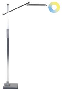 LED stojací lampa AQUARIUS se stmívačem Kov Stříbrná