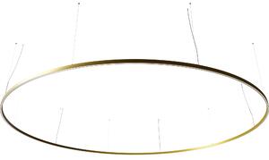 Ilti Zirkol Circle Downlight, zlaté kruhové závěsné svítidlo, 226W LED 2700K DALI/PUSH, Ø500cm