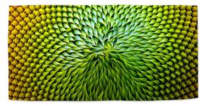 Sablio Ručník Detailní květ - 30x50 cm