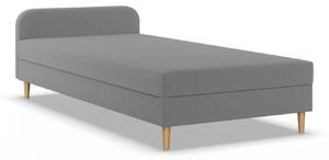 Čalouněná postel CASPE s čelem 120x200 cm s pružinovou matrací Šedá I