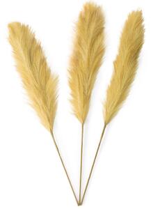 Dekorativní pampová tráva Zlatá 3ks BALILI