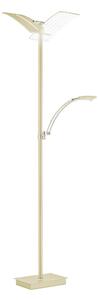 STOJACÍ LED SVÍTIDLO, 31/21/182 cm Hell - Stojací lampy