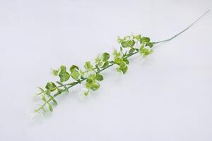 Umělá VĚTVIČKA EUKALYPTUS drobný