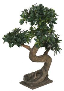 Umělá Bonsai Ficus euonymus japonicus, 75cm