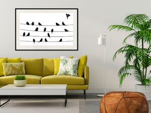 Plakát Ptáčí rodina - černo-bílí ptáci sedící na čáře na bílém pozadí