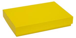 Úložná/dárková krabice s víkem 300x200x50/40 mm, žlutá