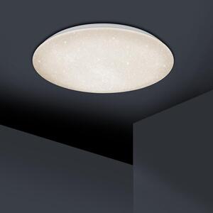 Trio Leuchten 677718000 NAGANO - LED svítidlo s dálkovým ovladačem 78W, Ø 79cm (Stropní LED svítidlo se změnou barvy svícení dálkovým ovladačem)