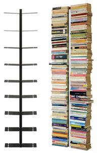 Radius designové knihovny na zeď Booksbaum 1 Wall Large