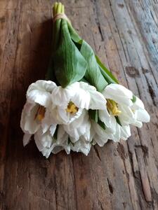 Hitra Kytice tulipánů bílé 30cm