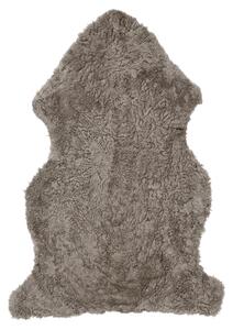 Skinnwille Home Collection Kudrnatá australská kožešina Curly, světle hnědá, 95x60 cm
