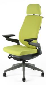 Kancelářská ergonomická židle Office Pro KARME — více barev, s podhlavníkem a područkami Zelená F01