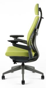 Kancelářská ergonomická židle Office Pro KARME — více barev, s podhlavníkem a područkami Modrá F03