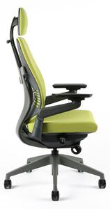 Kancelářská ergonomická židle Office Pro KARME — více barev, s podhlavníkem a područkami Černá F06