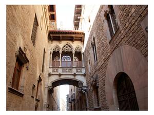 Fototapeta - Barcelona Palau v gotickém Barrio 250x193 + zdarma lepidlo