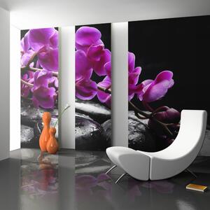 Fototapeta - Relaxační chvíle: orchideje a kameny 250x193 + zdarma lepidlo